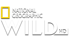 Nat Geo Wild HD DE