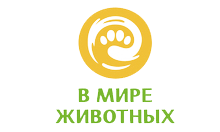 В мире животных HD