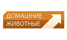 Домашние животные