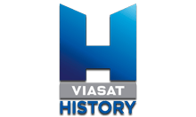 Viju history