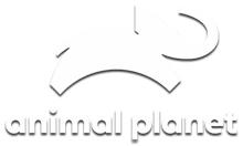 Animal Planet HD